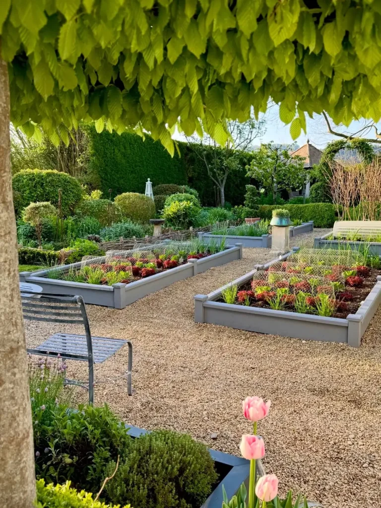 companion backyard vegetable rows