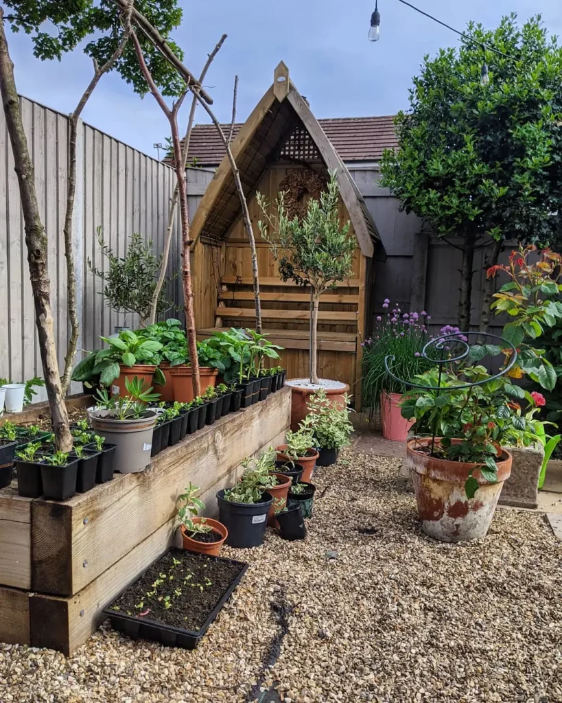 container small garden design basics