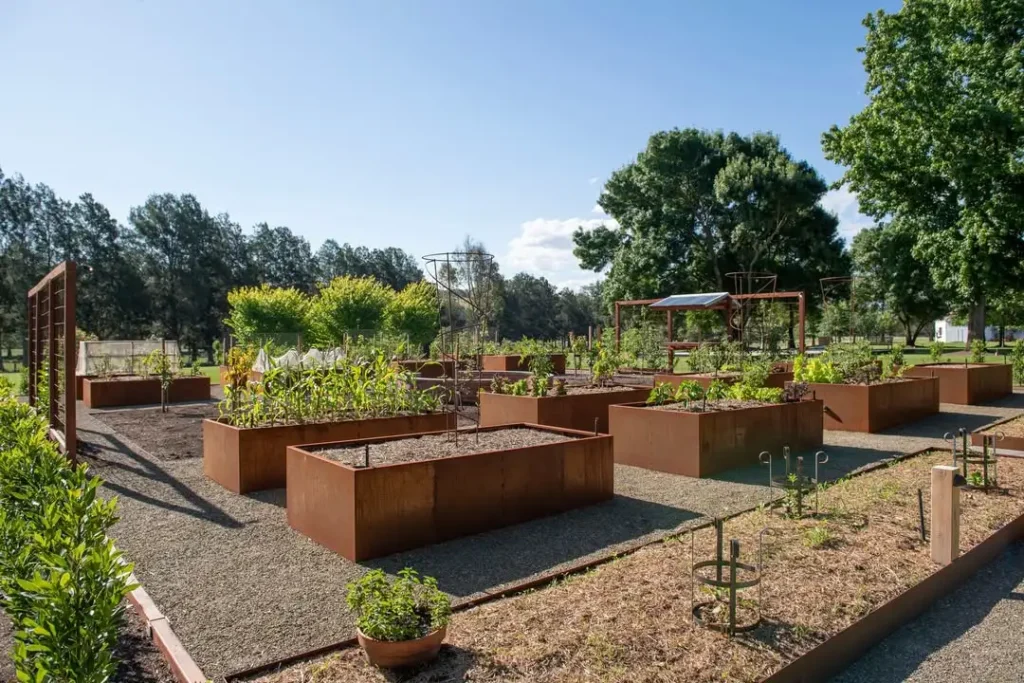corten steel garden bed