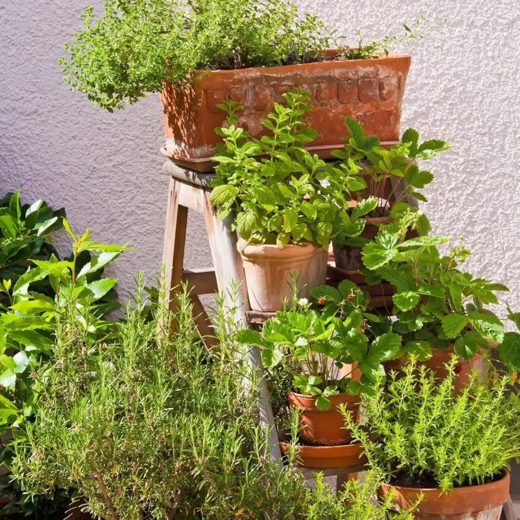 creative herb garden pot ideas (1)