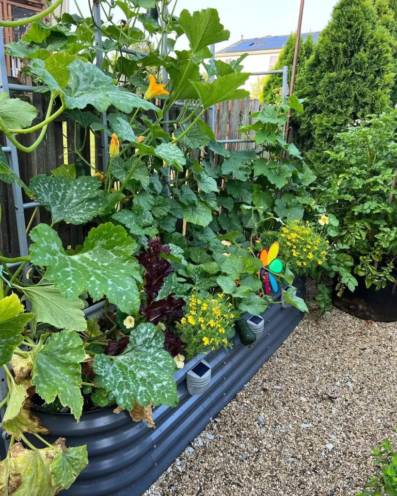 creative space backyard vegetable garden design