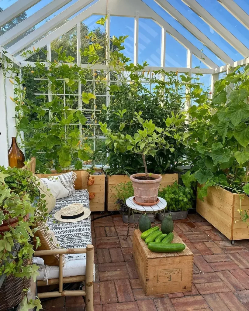 easy backyard veggie patch basics