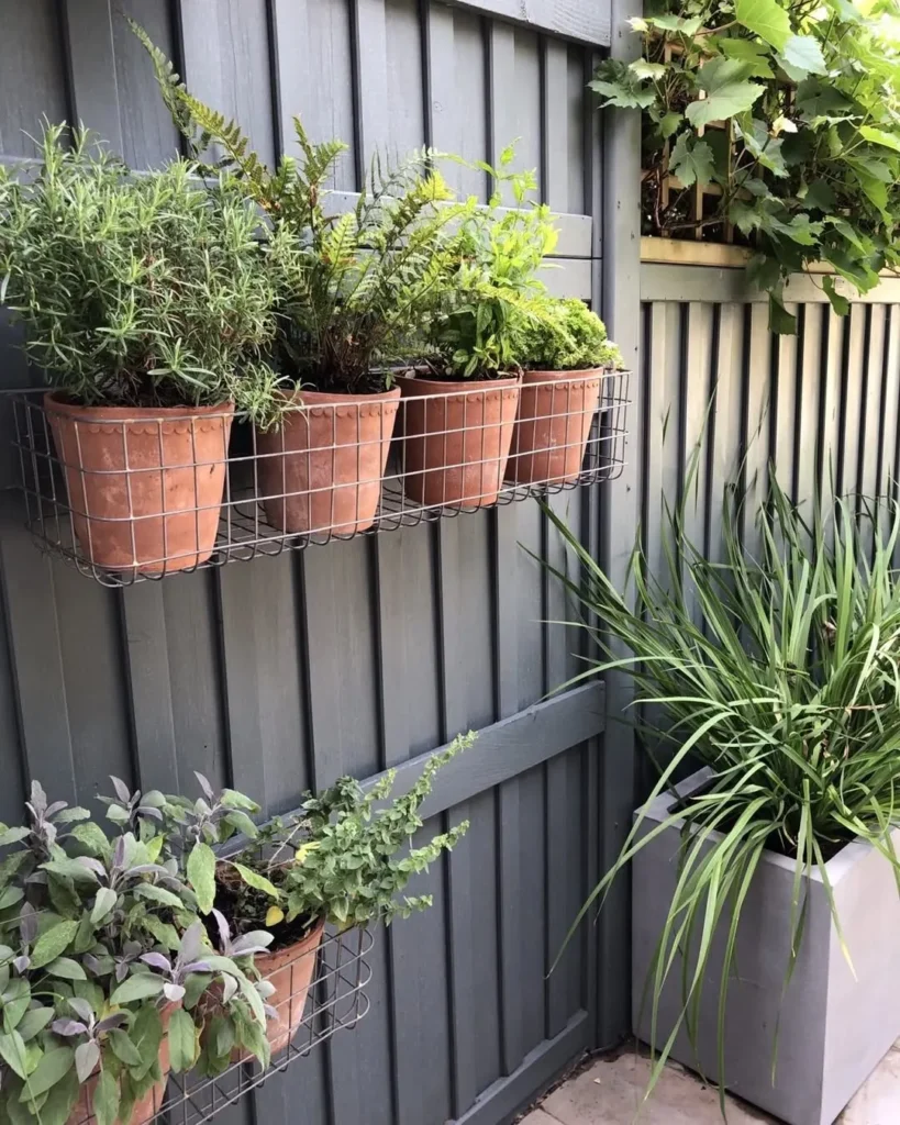 hanging pots herb garden