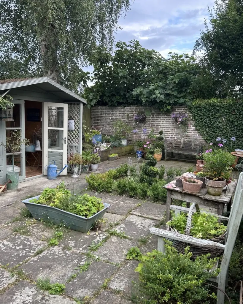 herb pot ideas for any space