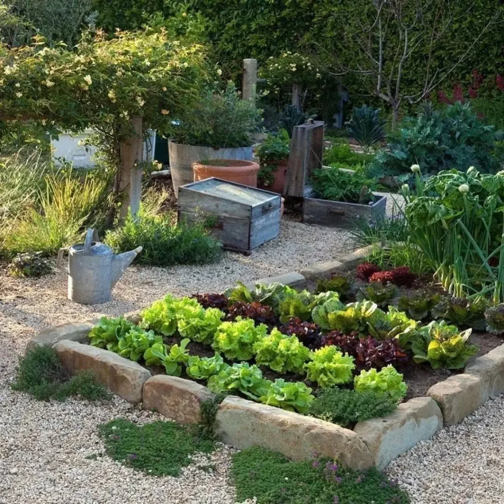 little backyard vegetable garden