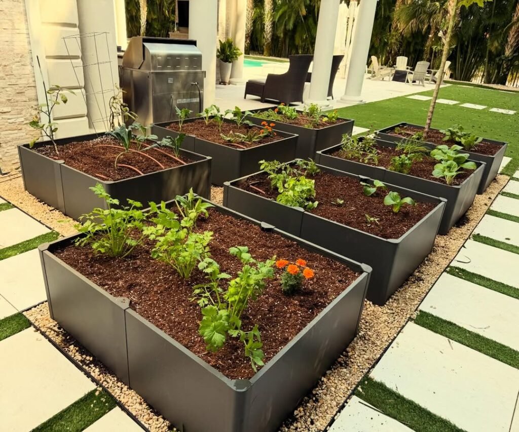 new garden install 🚨🎉✅ we design, install, and maintain vegetable gardens here in south florid