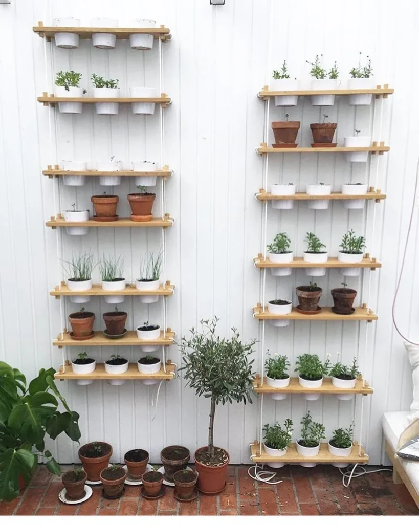shelf herb pot garden