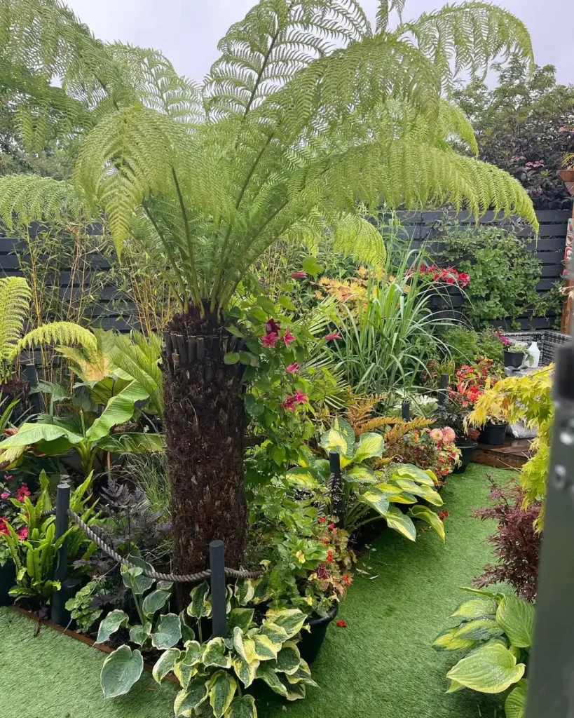 simple small garden ideas no digging