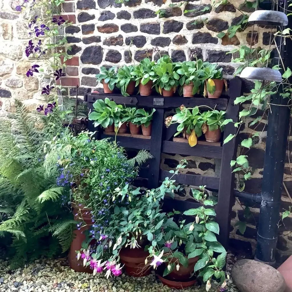 simple small garden with gravel magic