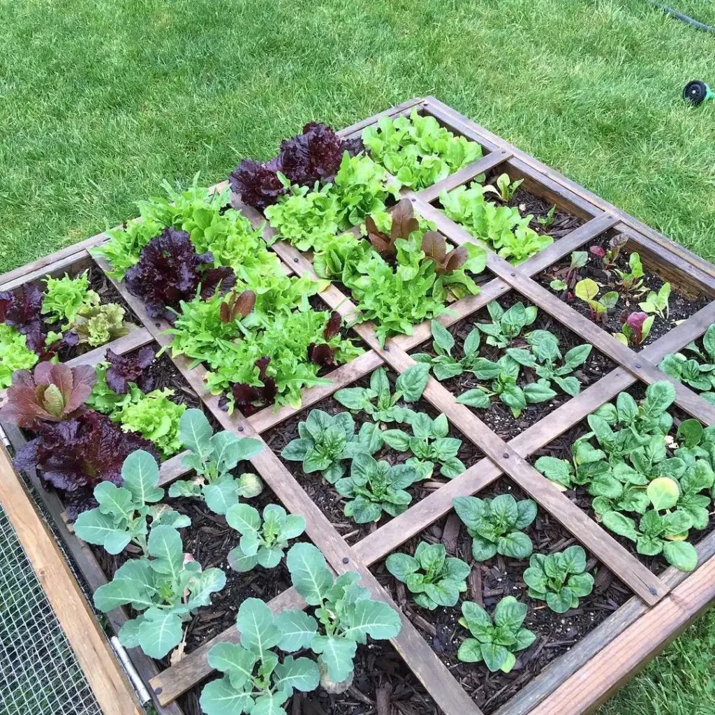 square foot backyard vegetable garden essentials