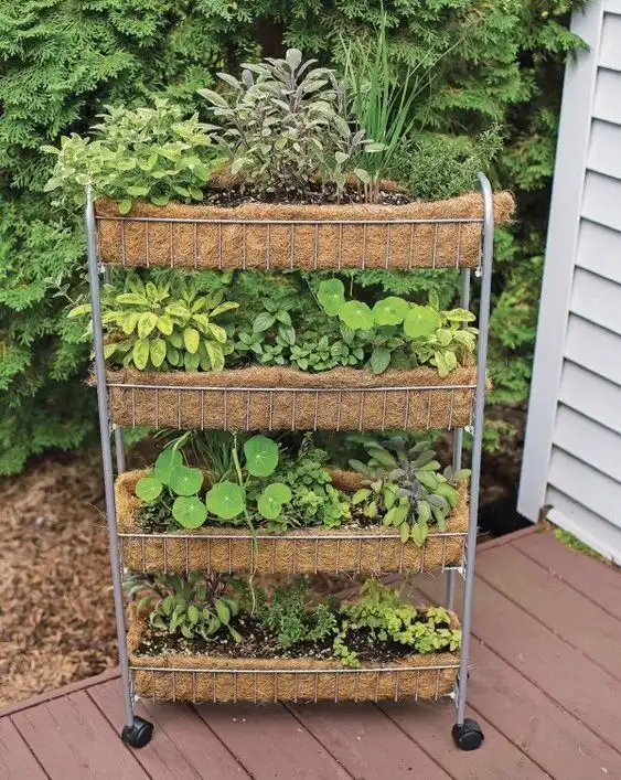 trolly, instant and mobile herb garden
