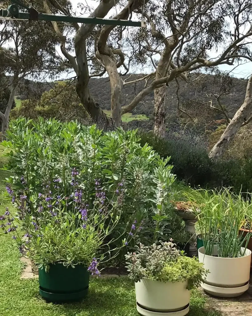unique herb garden pot styles