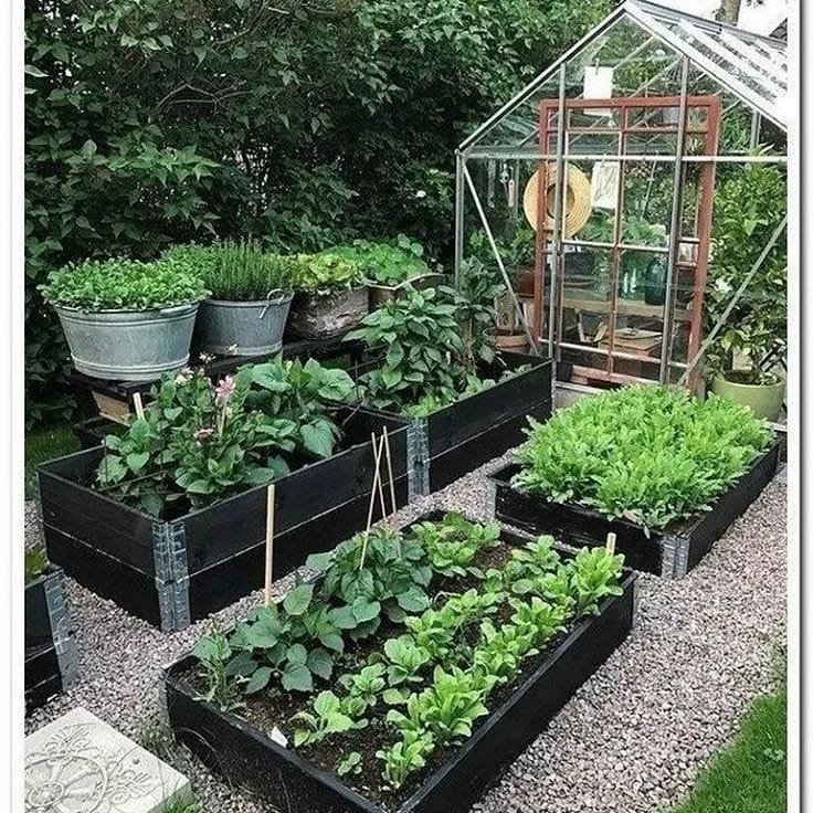 vegetable garden design ideas for green living.....#mygardeningstories #garden #gardens #gardenl