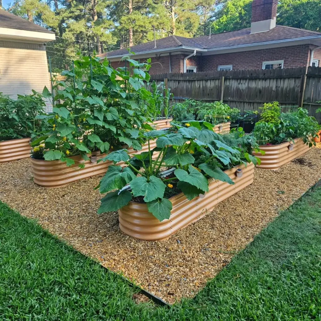 vego garden raised beds