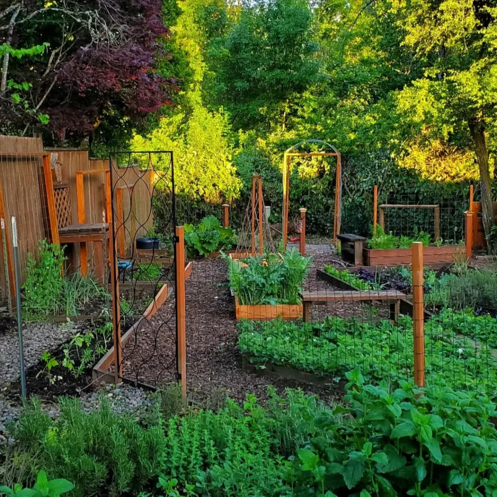 vertical space vegetable ideas