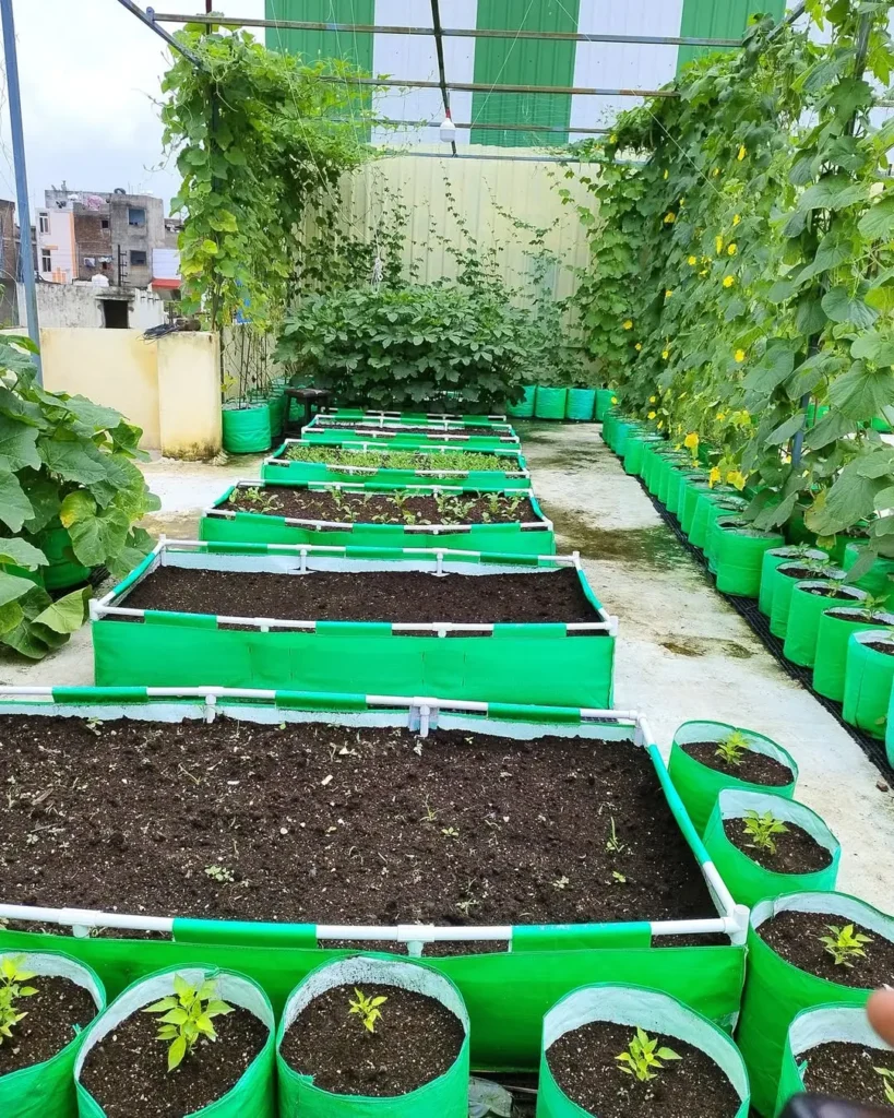 weed free backyard veggie bed layout