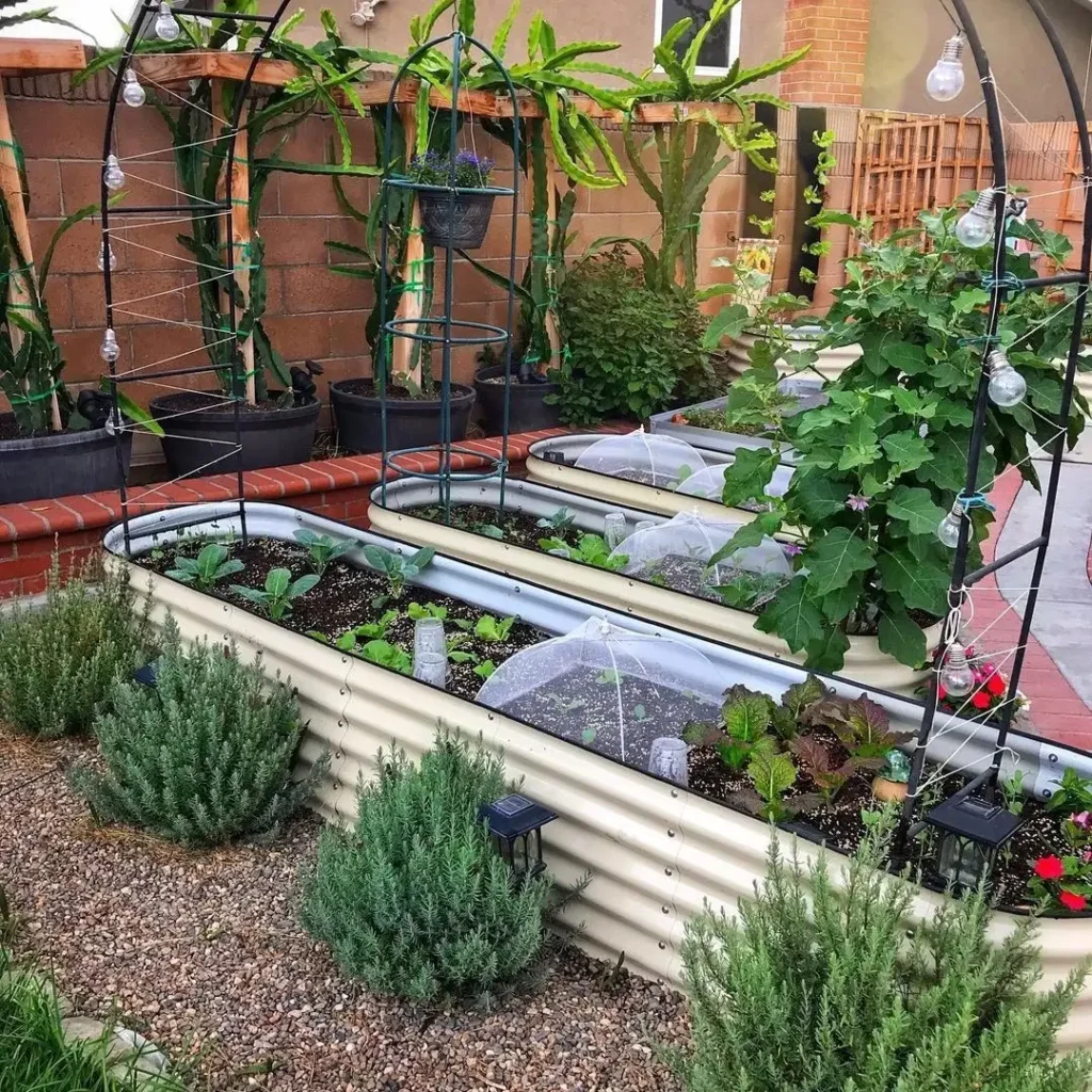 well tended backyard vegetable garden design