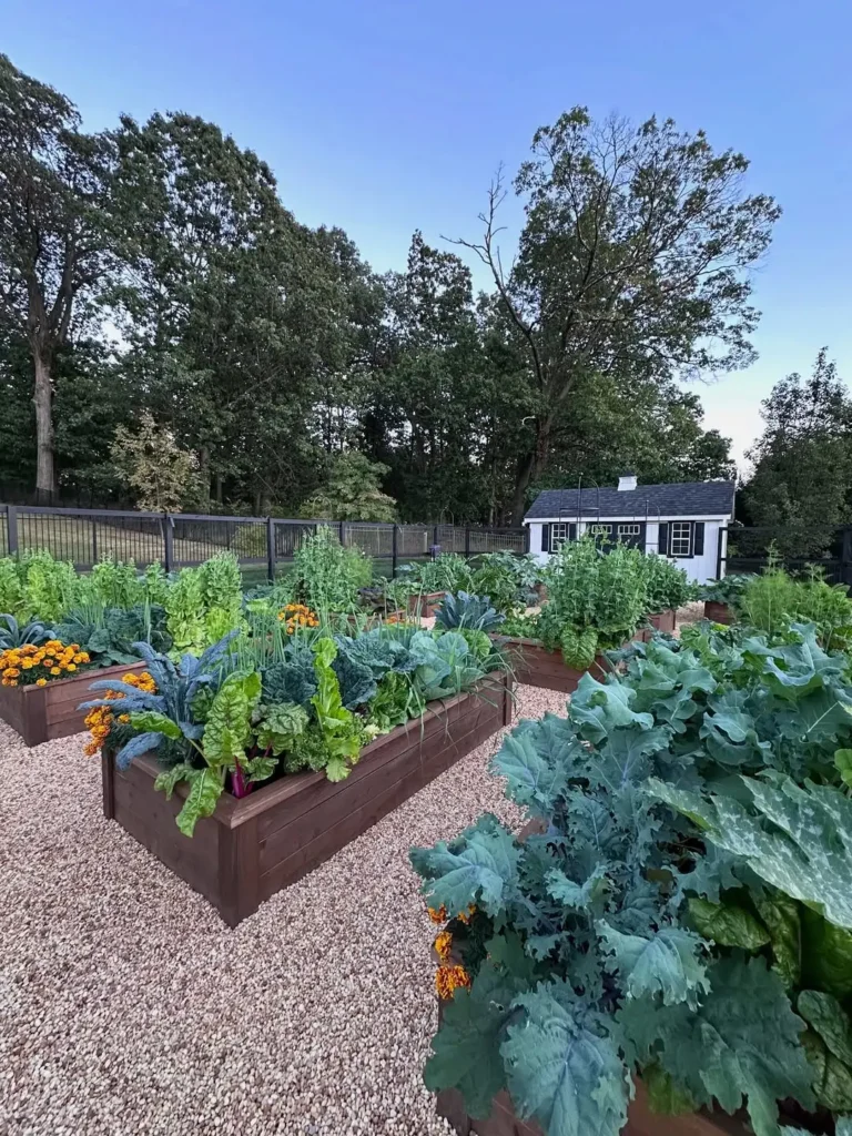 beautifully landscaped kitchen garden