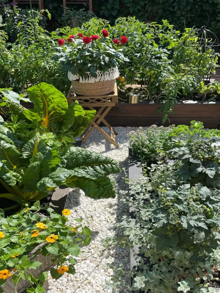 leafy greens vegetable garden