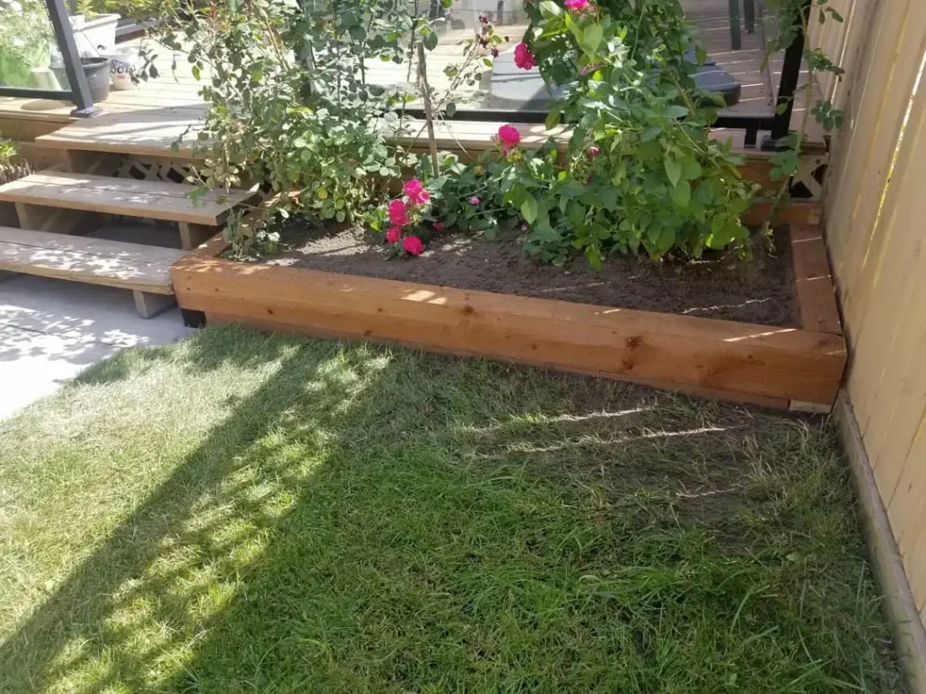 patio garden bed
