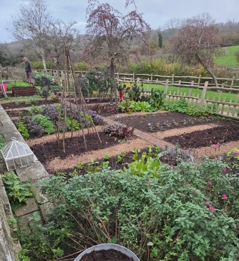 rustic vegetable garden