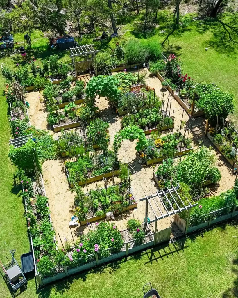 structured vegetable garden