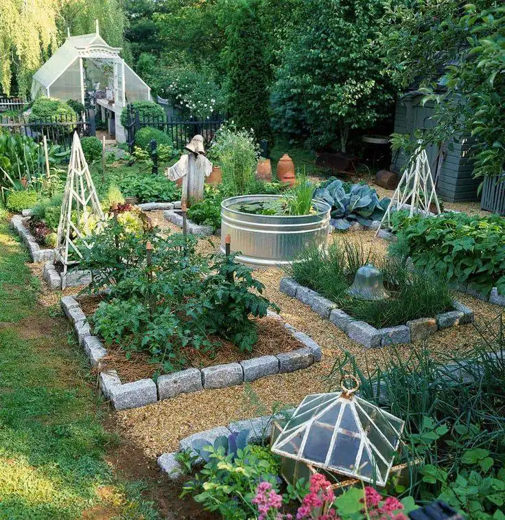 well organized backyard vegetable garden