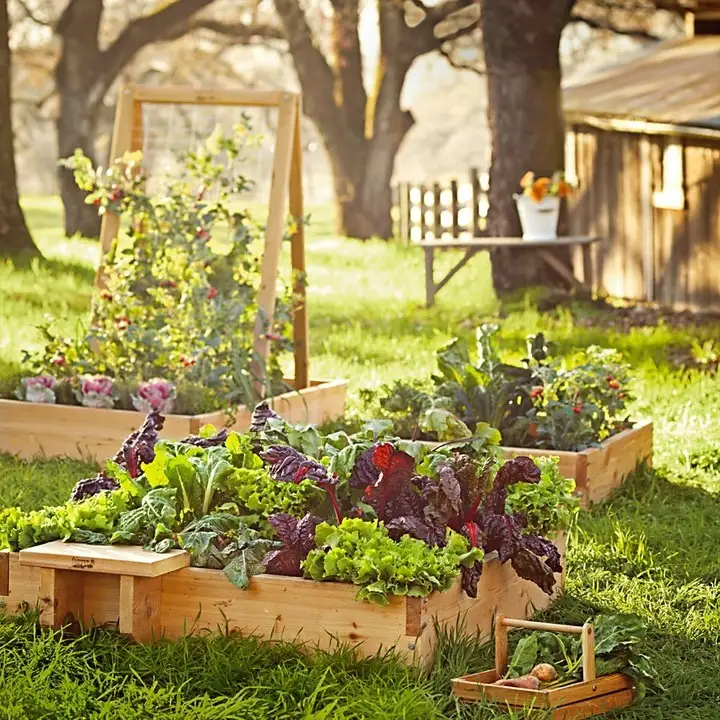 wooden raised garden