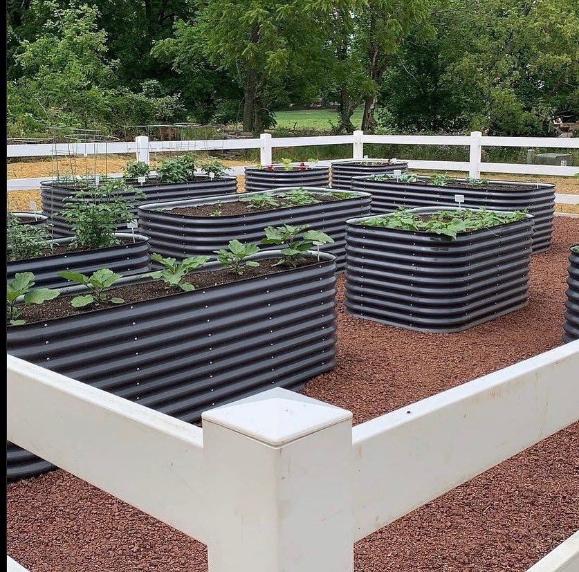 ☀️ good morning ☀️ as our creative winners continue… our $200 vego garden store credit goes to t